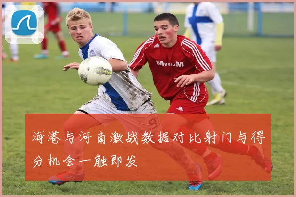 海港与河南激战数据对比射门与得分机会一触即发