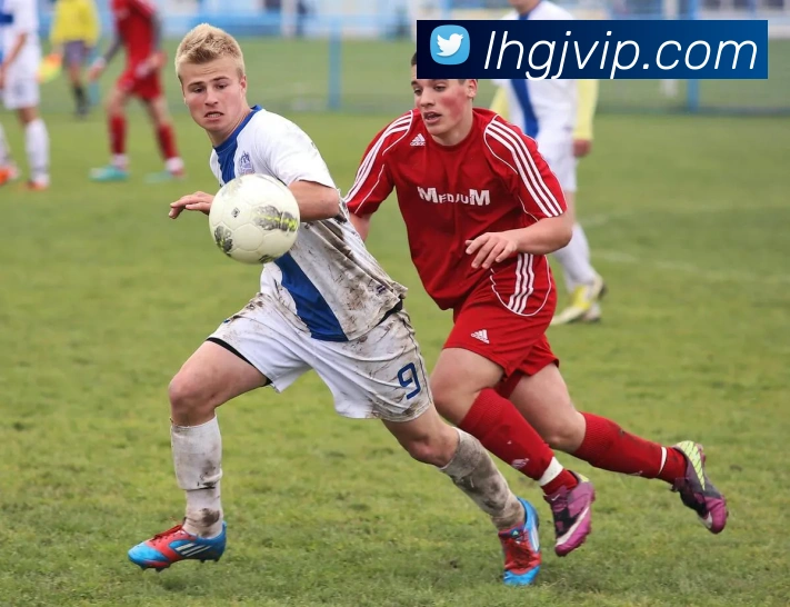 乐虎国际平台生态图